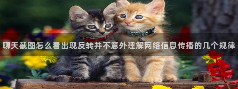 吃瓜新闻事件始末