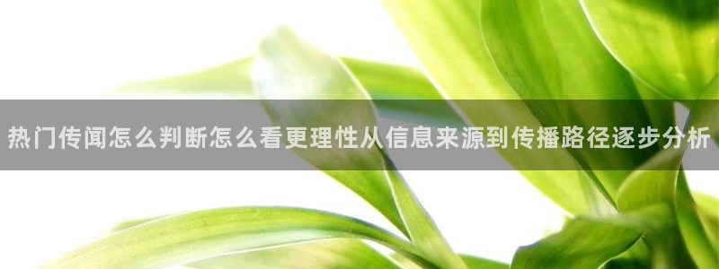 理性吃瓜后续进展