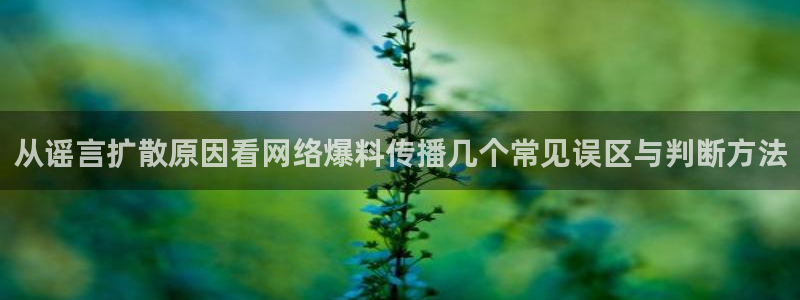 理性吃瓜事件始末