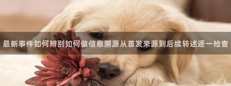 51吃瓜后续进展