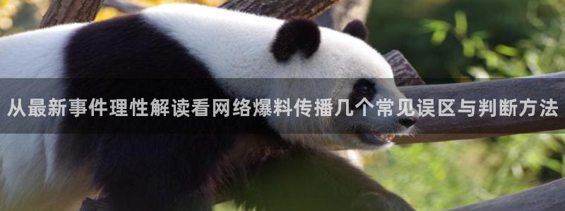 51吃瓜今日更新