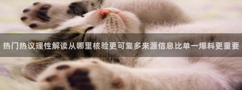 吃瓜真相今日更新