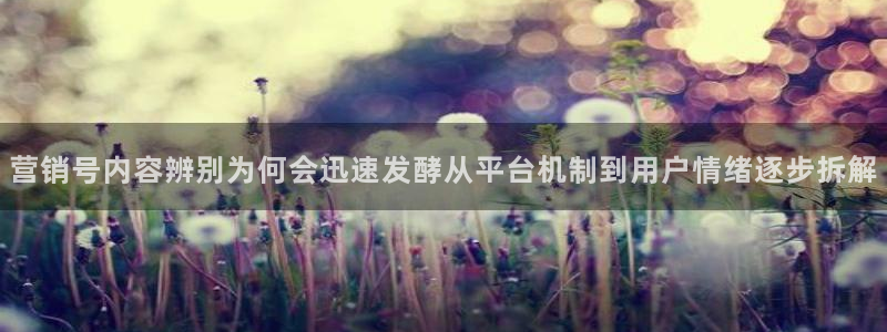 理性吃瓜事件始末