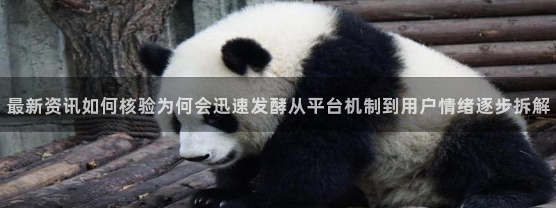 51吃瓜热点汇总