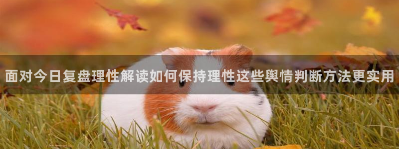 今日吃瓜原始出处